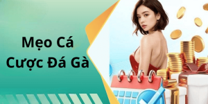 Mẹo Cá Cược Đá Gà