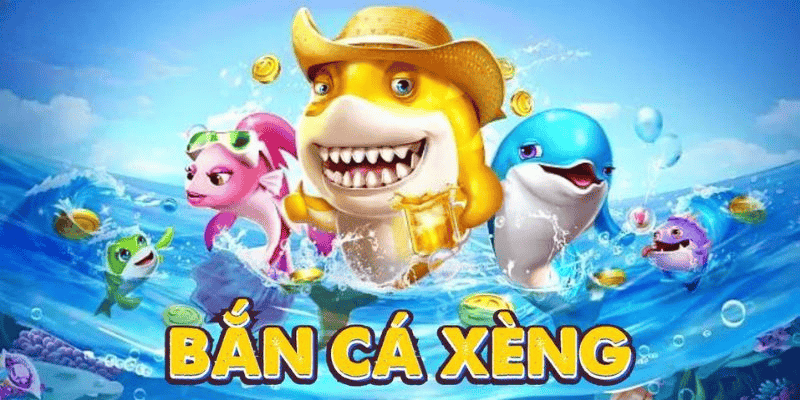 Bí quyết săn cá hiệu quả từ cao thủ lâu năm
